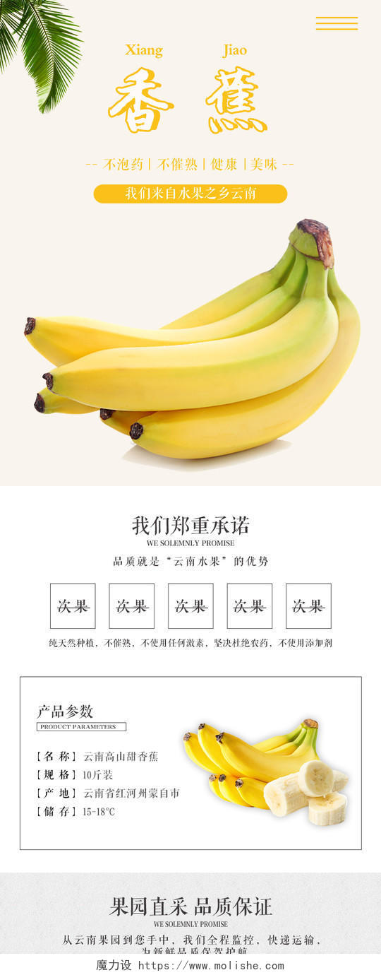 淘宝电商简约风格生鲜类通用水果香蕉果园直采详情页